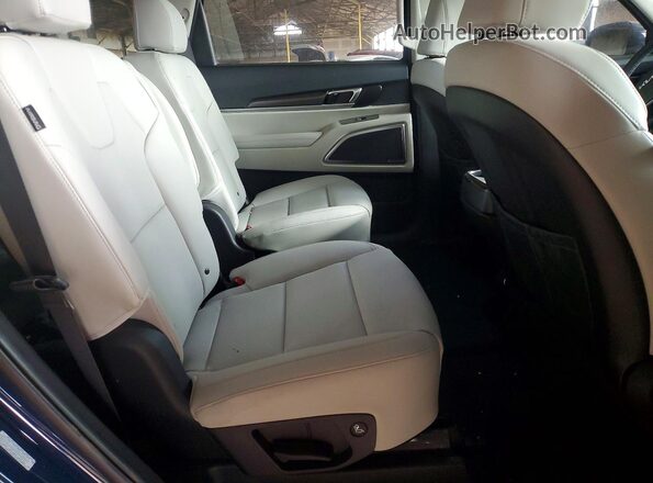 5XYP64GC7SG686166 2025 KIA TELLURIDE Blue Вид задньої частини салону