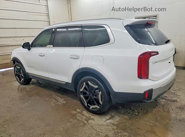 5XYP64GC8PG363798 2023 KIA TELLURIDE White Trasero izquierdo