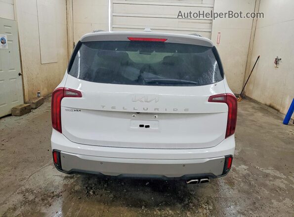 5XYP64GC8PG363798 2023 KIA TELLURIDE White Vista trasera
