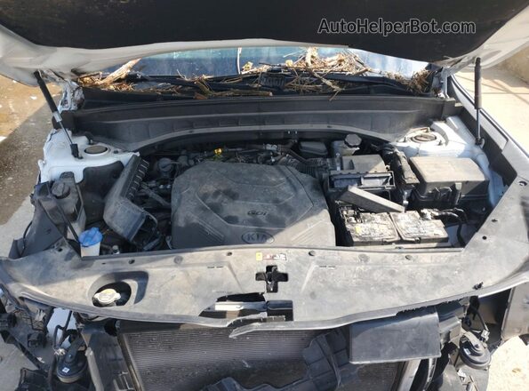 5XYP64HC0LG095564 2020 KIA TELLURIDE White Vista del compartimento del motor