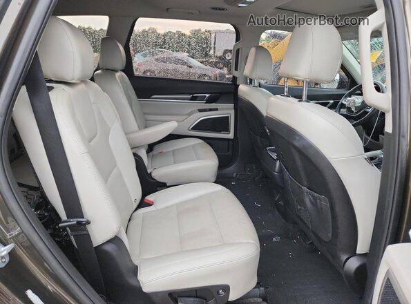 5XYP64HC1LG062962 2020 KIA TELLURIDE Green Vista interior trasera