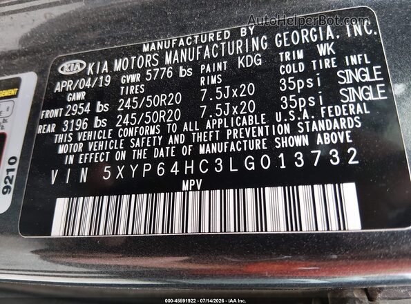 5XYP64HC3LG013732 2020 KIA TELLURIDE Gray Vista del compartimento del motor
