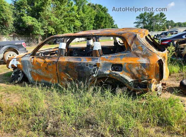 5XYP64HC3LG018171 2020 KIA TELLURIDE Burn Tył lewy