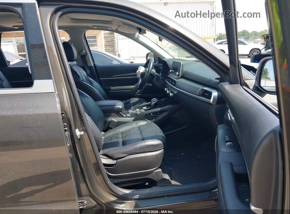 5XYP64HC7LG088451 2020 KIA TELLURIDE Brown Вид салону спереду