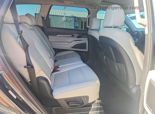 5XYP64HCXLG068064 2020 KIA TELLURIDE Gray Սալոնի հետևի տեսք