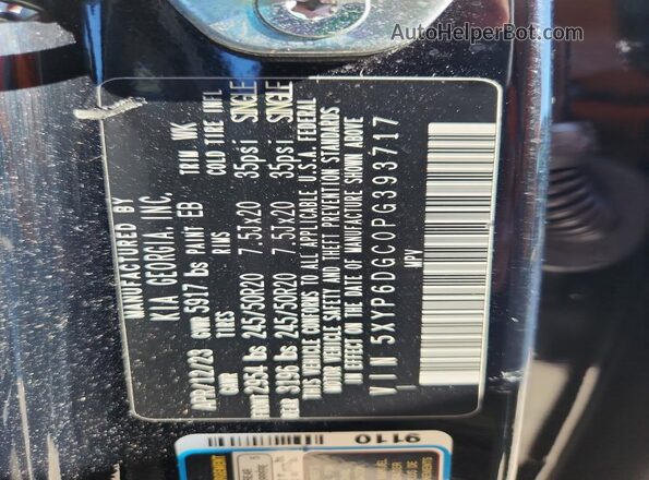 5XYP6DGC0PG393717 2023 KIA TELLURIDE Черный Вид наклейки с VIN-кодом