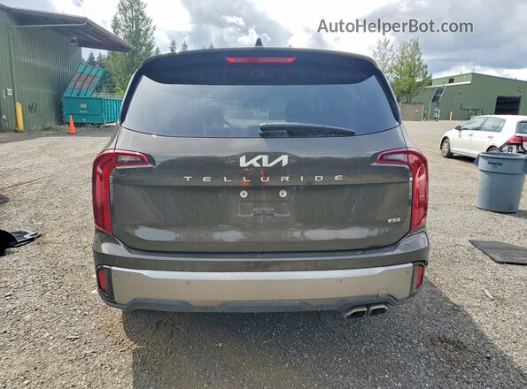 5XYP6DGC1SG586001 2025 KIA TELLURIDE Brown Vista trasera