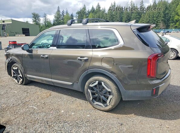 5XYP6DGC1SG586001 2025 KIA TELLURIDE Brown Trasero izquierdo