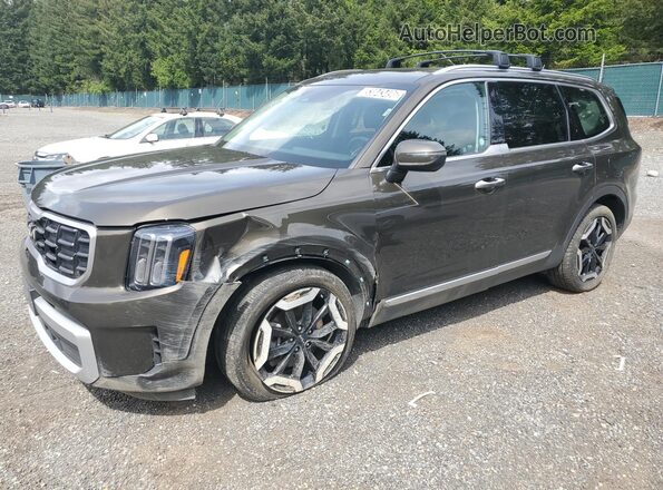 5XYP6DGC1SG586001 2025 KIA TELLURIDE Brown 