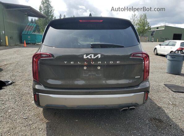 5XYP6DGC1SG586001 2025 KIA TELLURIDE Brown 