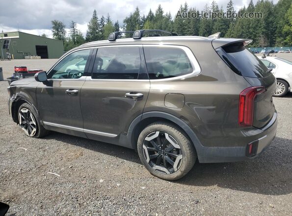 5XYP6DGC1SG586001 2025 KIA TELLURIDE Brown 