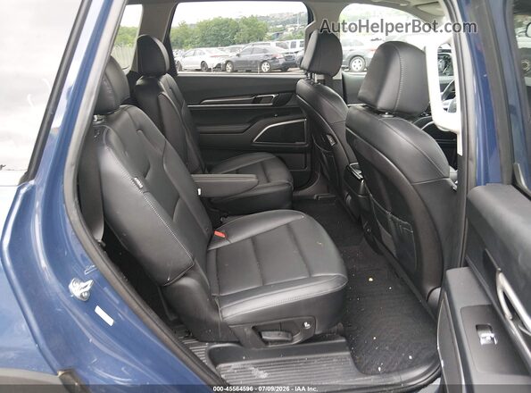 5XYP6DGC4RG551446 2024 KIA TELLURIDE Blue Vista de la etiqueta del VIN