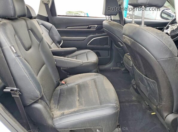 5XYP6DGC4SG689509 2025 KIA TELLURIDE White Սալոնի հետևի տեսք