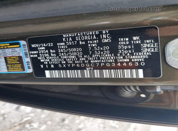 5XYP6DGC7PG344630 2023 KIA TELLURIDE Green VIN կոդի պիտակի տեսք