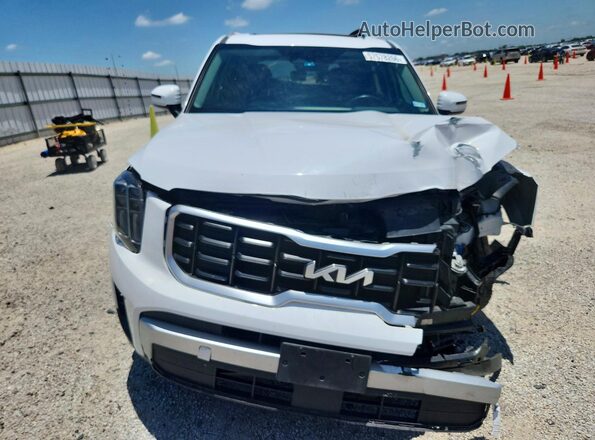 5XYP6DGC9RG484407 2024 KIA TELLURIDE White Front view