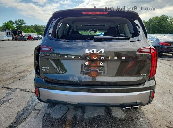 5XYP6DGC9SG656246 2025 KIA TELLURIDE Green Հետևի տեսք