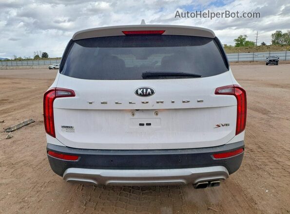 5XYP6DHC4MG122959 2021 KIA TELLURIDE White Rear view