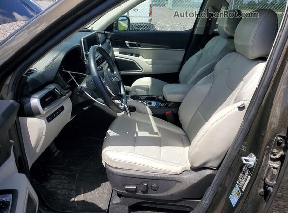 5XYP6DHC5LG007513 2020 KIA TELLURIDE Brown Սալոնի դիմացի տեսք