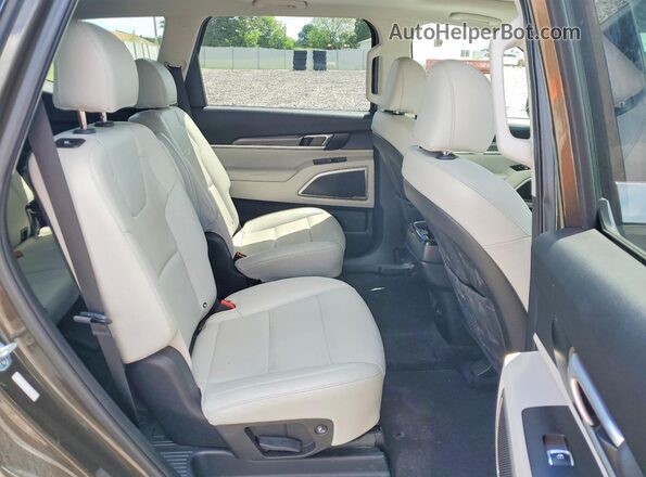 5XYP6DHC5LG007513 2020 KIA TELLURIDE Brown Սալոնի հետևի տեսք