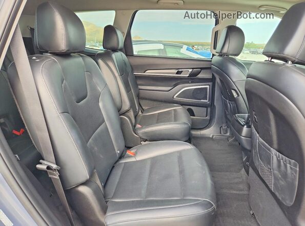 5XYP6DHC5MG174925 2021 KIA TELLURIDE Gray Vista interior trasera