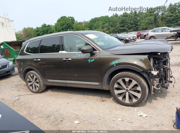 5XYP6DHC5NG286304 2022 KIA TELLURIDE Brown Вид задньої частини салону