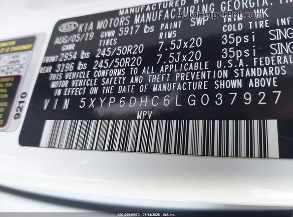 5XYP6DHC6LG037927 2020 KIA TELLURIDE White Vista del compartimento del motor