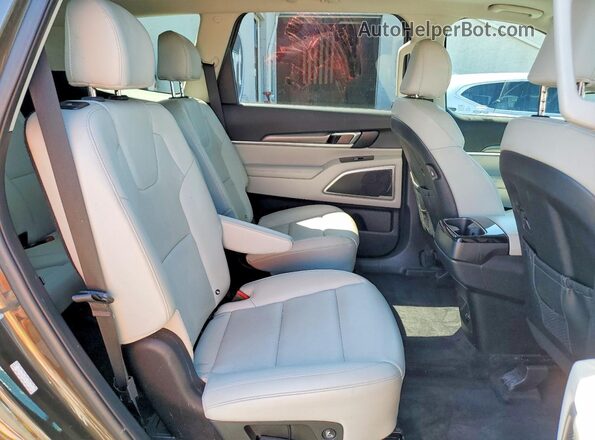 5XYP6DHC8LG005805 2020 KIA TELLURIDE Brown Սալոնի հետևի տեսք