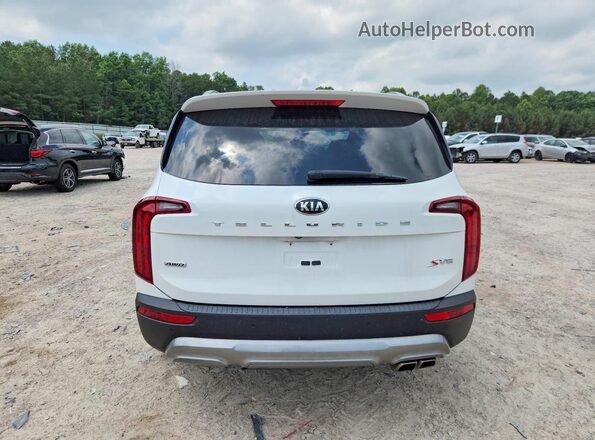 5XYP6DHC9LG044290 2020 KIA TELLURIDE White Rear view