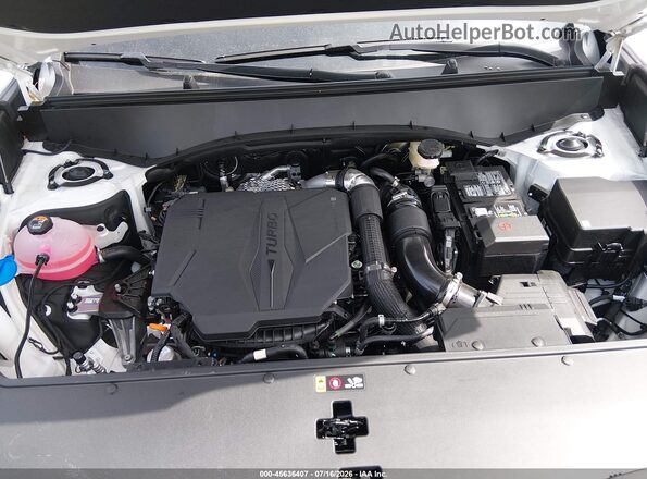 5XYPC5S13VG037098 2027 KIA TELLURIDE White Հետևի տեսք