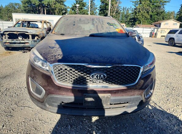 5XYPG4A34GG012148 2016 KIA SORENTO Бордовый Вид спереди