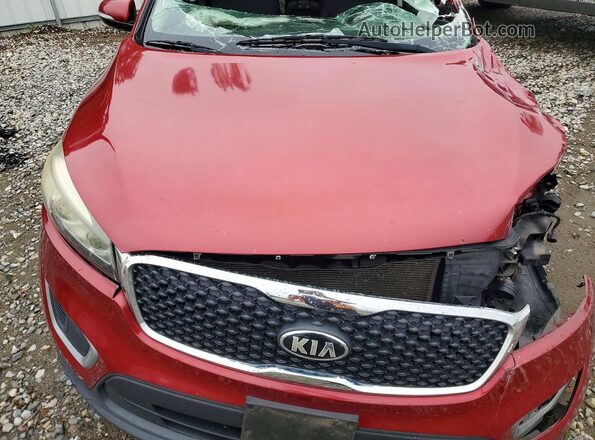 5XYPG4A39GG055528 2016 KIA SORENTO Red ძრავის განყოფილების ხედი