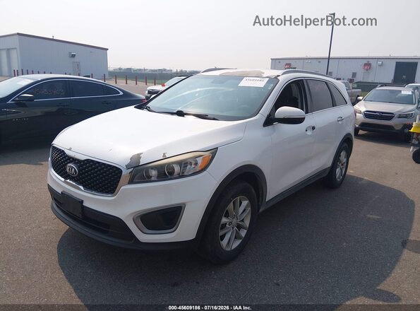 5XYPG4A39GG127490 2016 KIA SORENTO Белый Передняя левая четверть