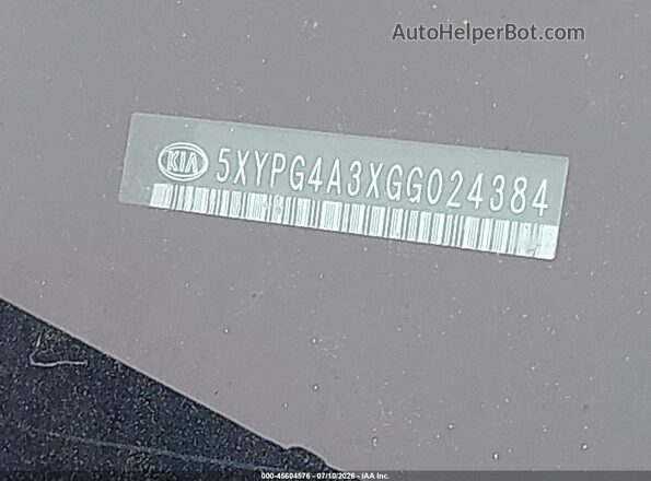 5XYPG4A3XGG024384 2016 KIA SORENTO Silver Widok komory silnika