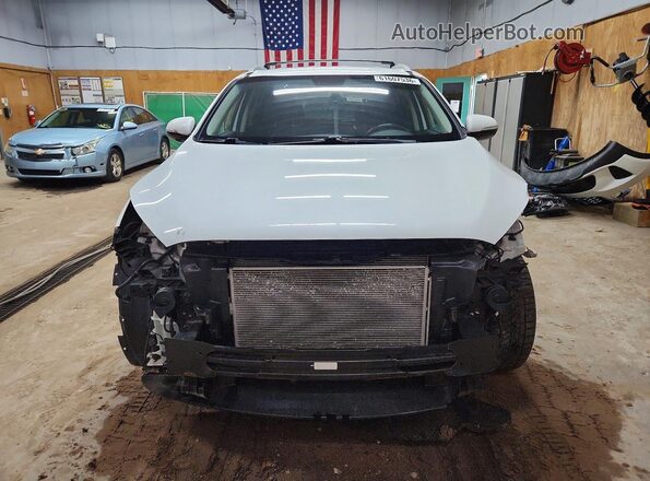 5XYPGDA36KG432504 2019 KIA SORENTO White წინა ხედი
