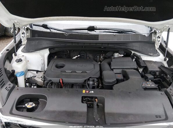 5XYPGDA38KG458327 2019 KIA SORENTO White Հետևի տեսք