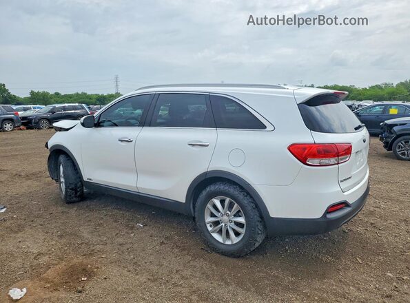 5XYPGDA39HG206594 2017 KIA SORENTO White Задня ліва чверть