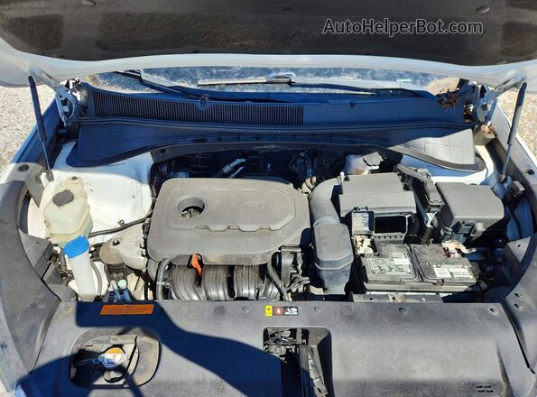 5XYPGDA39HG275074 2017 KIA SORENTO White Շարժիչի բաժամունքի տեսք