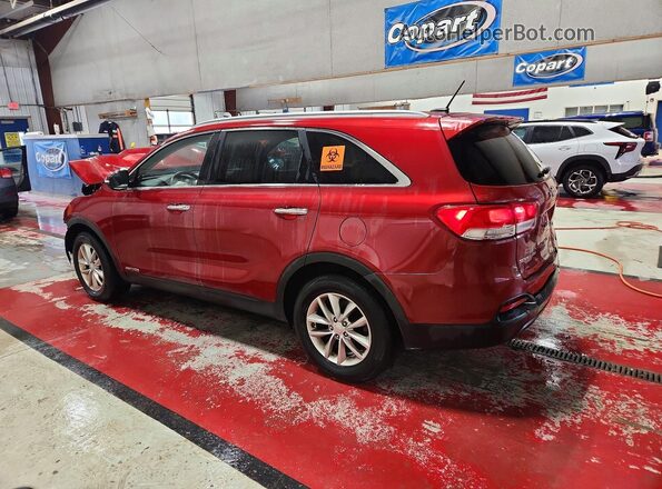 5XYPGDA5XGG131291 2016 KIA SORENTO Red Задня ліва чверть