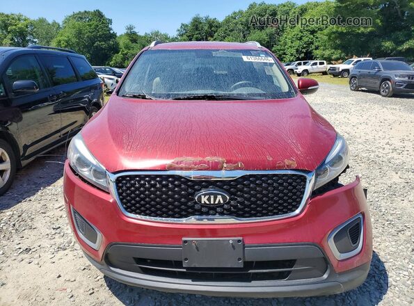 5XYPGDA5XHG313008 2017 KIA SORENTO Red Widok z przodu