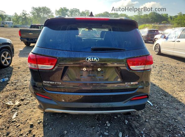 5XYPHDA11HG253646 2017 KIA SORENTO Brown Rear view