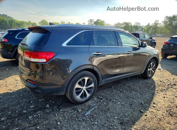 5XYPHDA11HG253646 2017 KIA SORENTO Brown Rear right