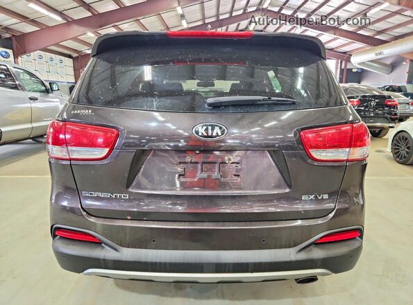 5XYPHDA55GG104058 2016 KIA SORENTO Purple Вид ззаду