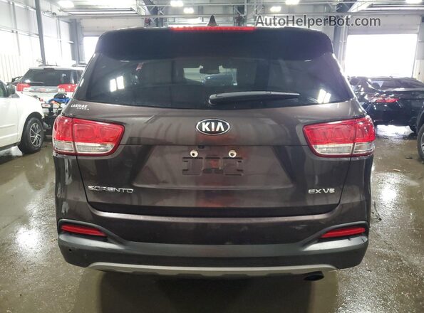 5XYPHDA56HG305159 2017 KIA SORENTO Коричневый Вид сзади