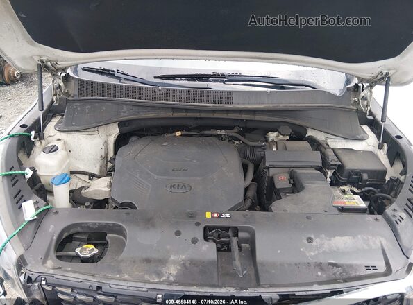 5XYPKDA52KG460607 2019 KIA SORENTO Белый Вид сзади
