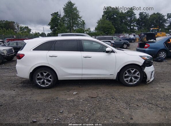 5XYPKDA52KG460607 2019 KIA SORENTO Белый Вид задней части салона