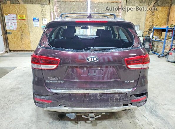 5XYPKDA57GG073347 2016 KIA SORENTO Burgundy Հետևի տեսք