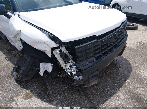 5XYPLES10VG013003 2027 KIA TELLURIDE White წინა ხედი