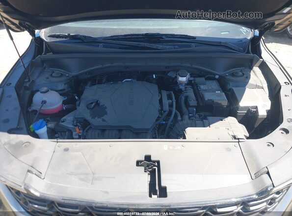 5XYRG4JC2SG346213 2025 KIA SORENTO Black Widok z tyłu