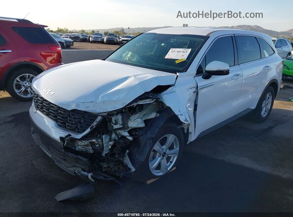 5XYRG4JCXRG299085 2024 KIA SORENTO Белый Вид спереди