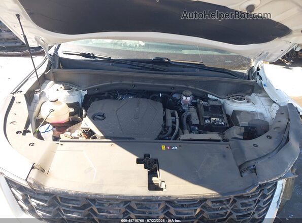 5XYRG4JCXRG299085 2024 KIA SORENTO Белый Вид сзади